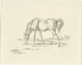 Weidendes Pferd nach rechts
