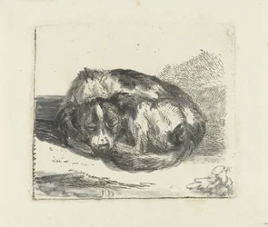 Schlafender Hund