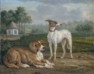 Zwei Hunde