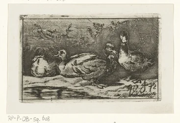 Vier Enten am Wasser
