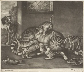 Katze mit fünf Jungen