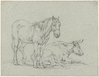 Stehendes Pferd und eine liegende Kuh