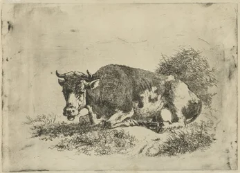 Liegende Kuh