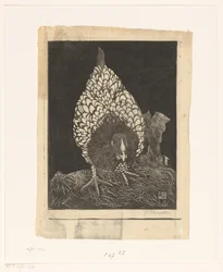 Silberwyandotte