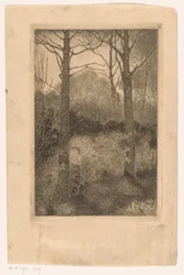 Waldrand