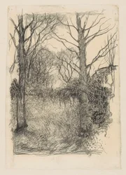 Waldrand