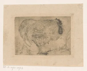 Zusammengekauerter Hahn