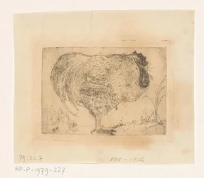 Zusammengekauerter Hahn