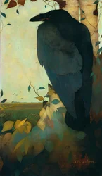 Rabe auf einer Birke