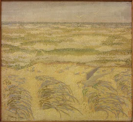 Düne und Meer