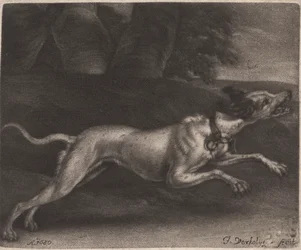 Ein laufender Hund