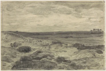 Heidelandschaft bei Laren