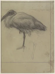 Landschaft Buitenzorg