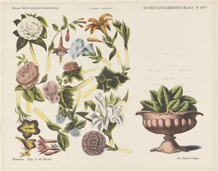 Wie man einen Blumenstrauß macht. Neue niederländische Kinderbilder. Funke