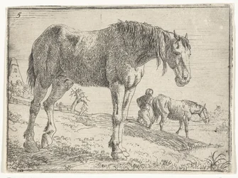Stehendes Pferd (Landschaften mit Pferden, Serientitel)