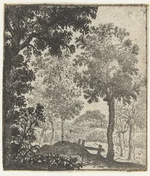 Landschaft mit großem Baum im Vordergrund