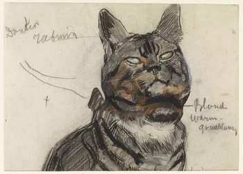 Katze, mit Farbanmerkungen