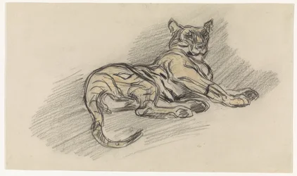 Liegender Tiger, nach rechts