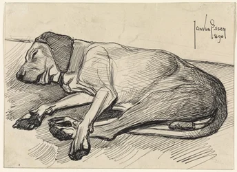 Schlafender Hund, nach links