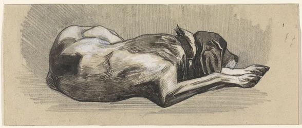 Schlafender Hund, nach rechts