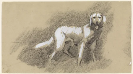 Stehender Hund