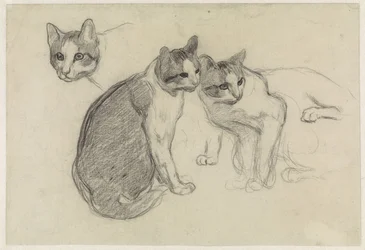Studienblatt mit Katzen