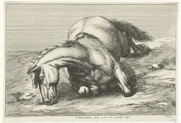 Gesneuveltes Pferd auf der rechten Seite liegend