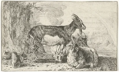 Ziegen