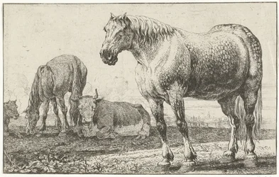 Pferde und Kühe
Tiere (Serientitel)