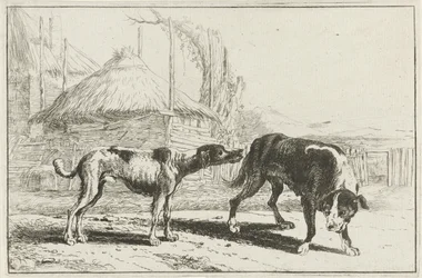 Rüde und Hündin (Dieren, Zoographiam)