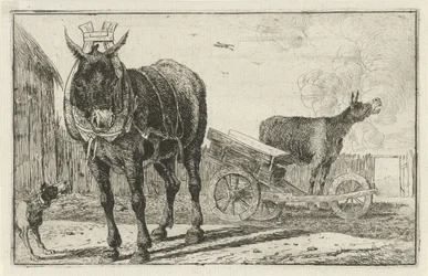 Zwei Esel