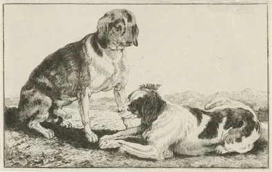 Zwei ruhende Hunde