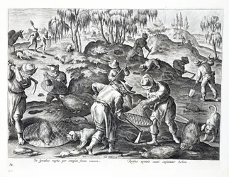 Ausgraben und Fangen von Stachelschweinen, Platte 54, Illustration aus 