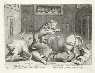 Adlige beobachten den Kampf wilder Tiere in einem Zirkus, Illustration aus 