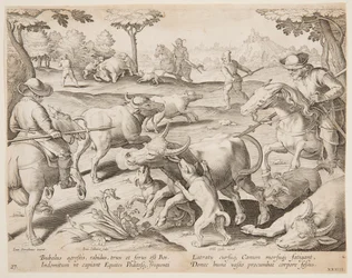 Büffeljagd, Platte 27 in der Serie Venationes Ferarum, Avium, Piscium