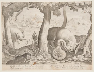 Kampf zwischen Elefanten und Schlangen, Platte 2 aus der Serie Venationes Ferarum, Avium, Piscium