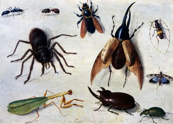 Insekten