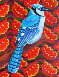 Blauhäher, 2016