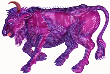 Wütender Stier Stier