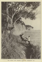 Die weißen und bewaldeten Klippen der Mississippi-Bucht
