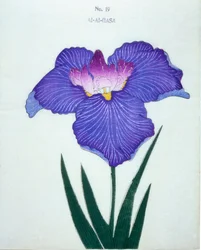 Al-Al-Gasa, Nr. 19, 1898