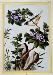 Vogel - Japanischer Druck