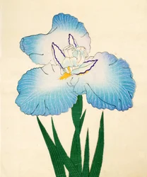 Irojiman, Nr. 80, 1890