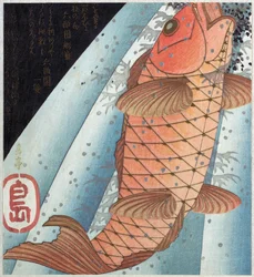 Koi-Karpfen; veröffentlicht ca. 1820