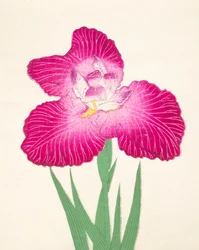 Kyo-Kano.ko, Nr. 24, 1898
