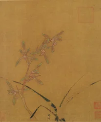 Orchideen