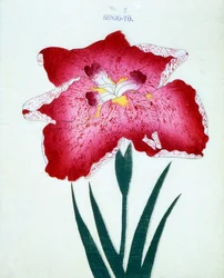 Senjo-To, Nr. 5, 1898