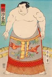 Der Sumoringer Asashio Taro