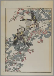 Zwei Vögel mit rosa Blumen, Meiji-Periode, ca. 1868-1912