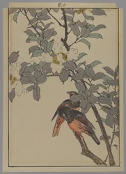 Zwei Vögel mit weißen Blumen, Meiji-Periode, 1892